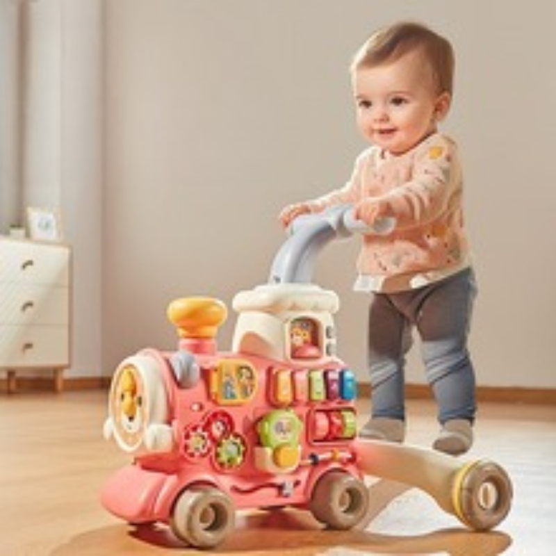 Montessori Early Education Tra - Baby Walker Activity 评论和价格