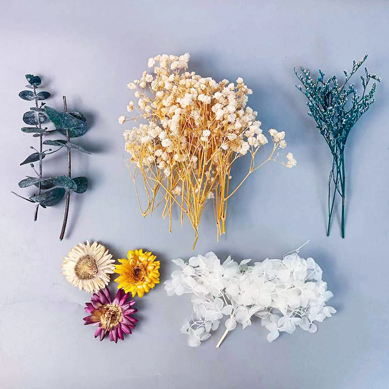 1pack Multifarious Dried Flowe - Baby Products Gift 评论和价格