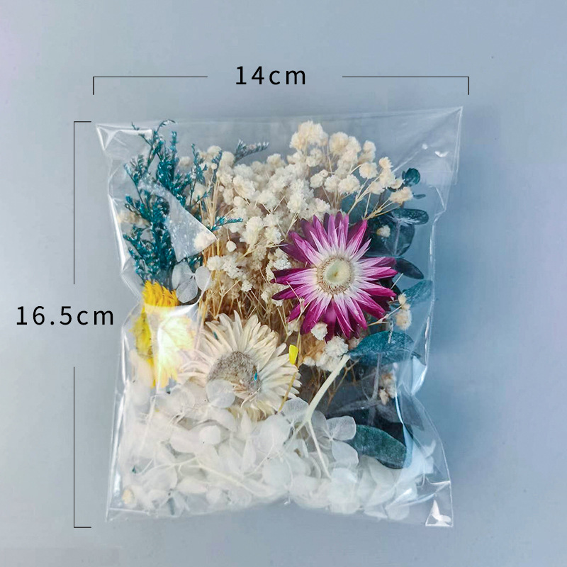 1pack Multifarious Dried Flowe - Baby Products Gift 评论和价格